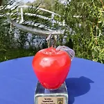 Bed & Breakfast Targowski Dwor Mazury 3*