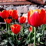 Bed and Breakfast Targowski Dwor Mazury 3*