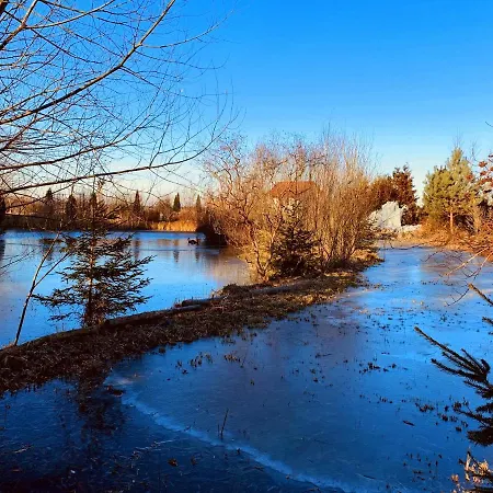 Bed & Breakfast Targowski Dwor Mazury Dzwierzuty