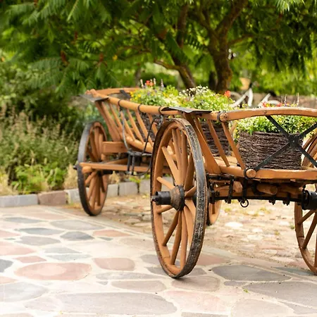 Bed & Breakfast Targowski Dwor Mazury Dzwierzuty