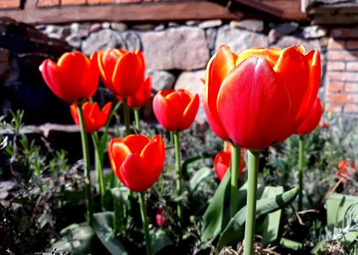 Bed & Breakfast Targowski Dwor Mazury 3*