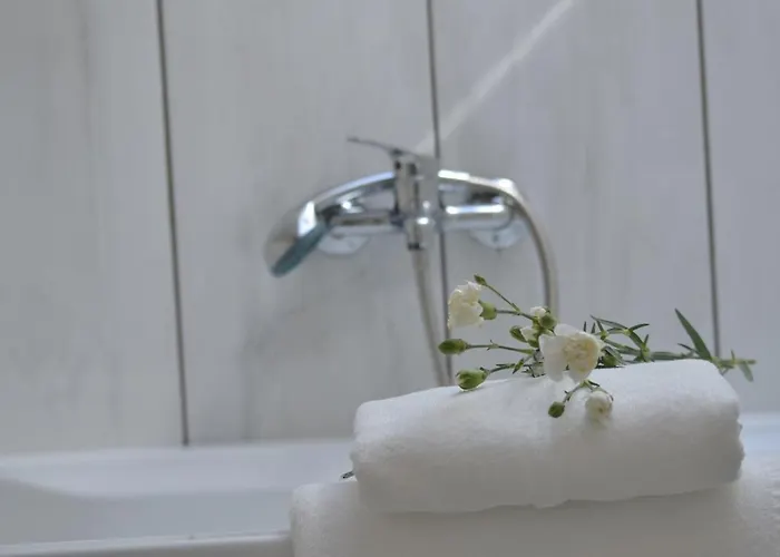 Targowski Dwor Mazury Dzwierzuty