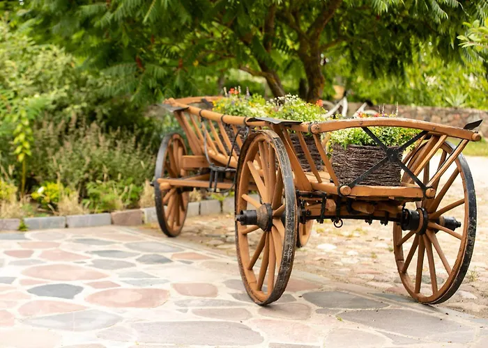 Bed & Breakfast Targowski Dwor Mazury Dzwierzuty