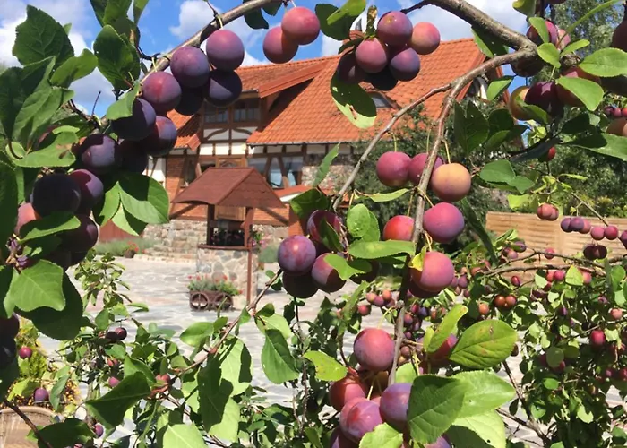 Targowski Dwor Mazury Bed & Breakfast 3*